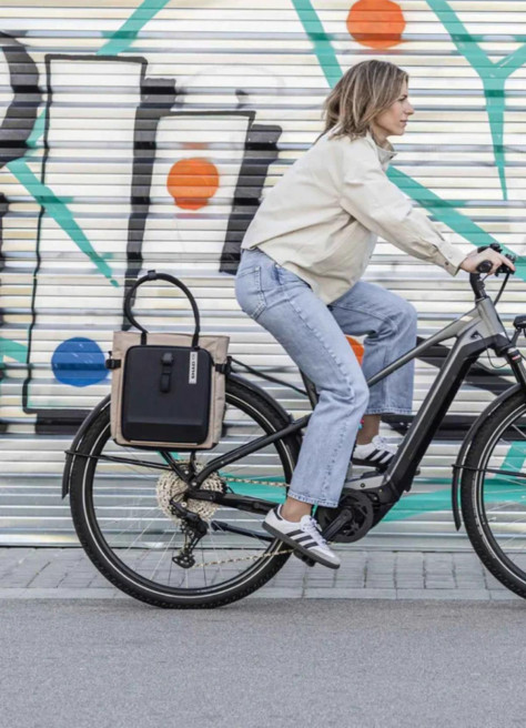 Daily tote convertible 16L - Shad