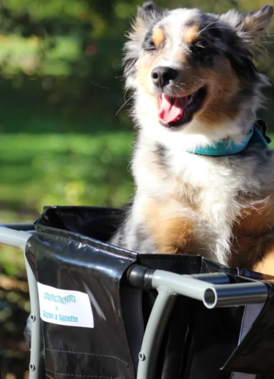 Bicycle container for longtail boat - Suzon Suzette
