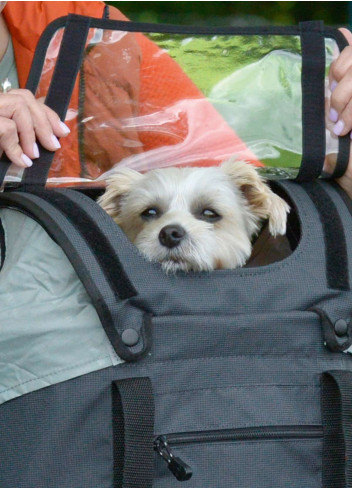 Dog basket - Klickfix